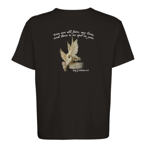 Song of solomon 4:7 | Unisex Oversized T-shirt